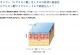QUANIS�����ޥե��顼���ޥ������ˡ��ɥ�ѥå�