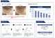 QUANIS�����ޥե��顼���ޥ������ˡ��ɥ�ѥå�