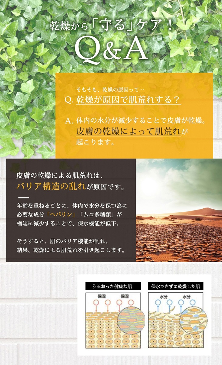 ���������ʡ��ҥ�ɥץ�ߥ��ࡡ50g