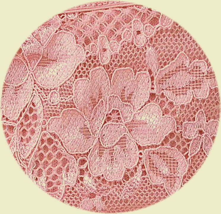 ���쥬��Ȥʥ졼���ա�Ķ�¿����硼�ģ�����