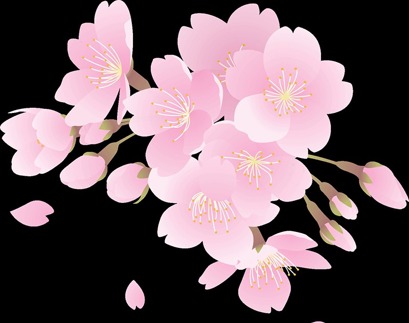 ��Ħ�ꡦ���֥��ȥ�å�