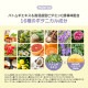 VC-100�۹硡UV�������ȡ��󥢥åץߥ륭��������
