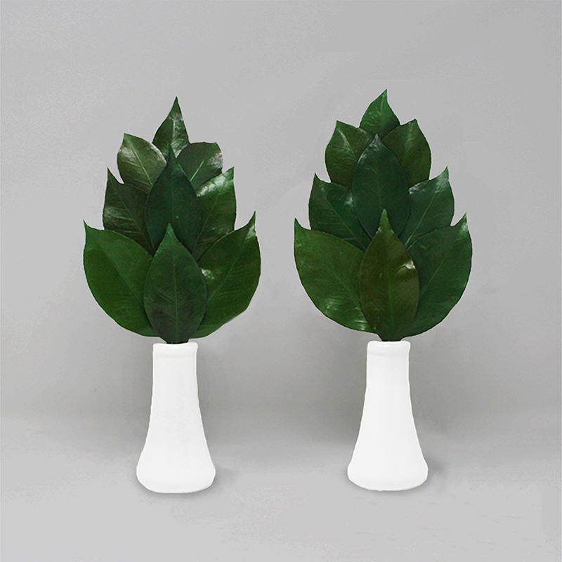 �񻺡��Ϥ�ʤ��ץꥶ���֥ɺ硡����