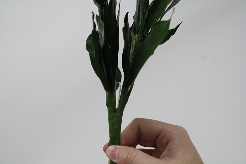 �񻺡��Ϥ�ʤ��ץꥶ���֥ɺ硡����