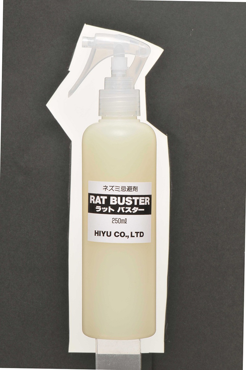 �ͤ��ߴ���ޡ����åȥХ������䡡������