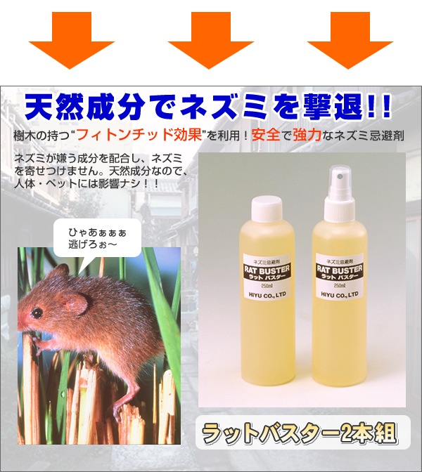 �ͤ��ߴ���ޡ����åȥХ������䡡������