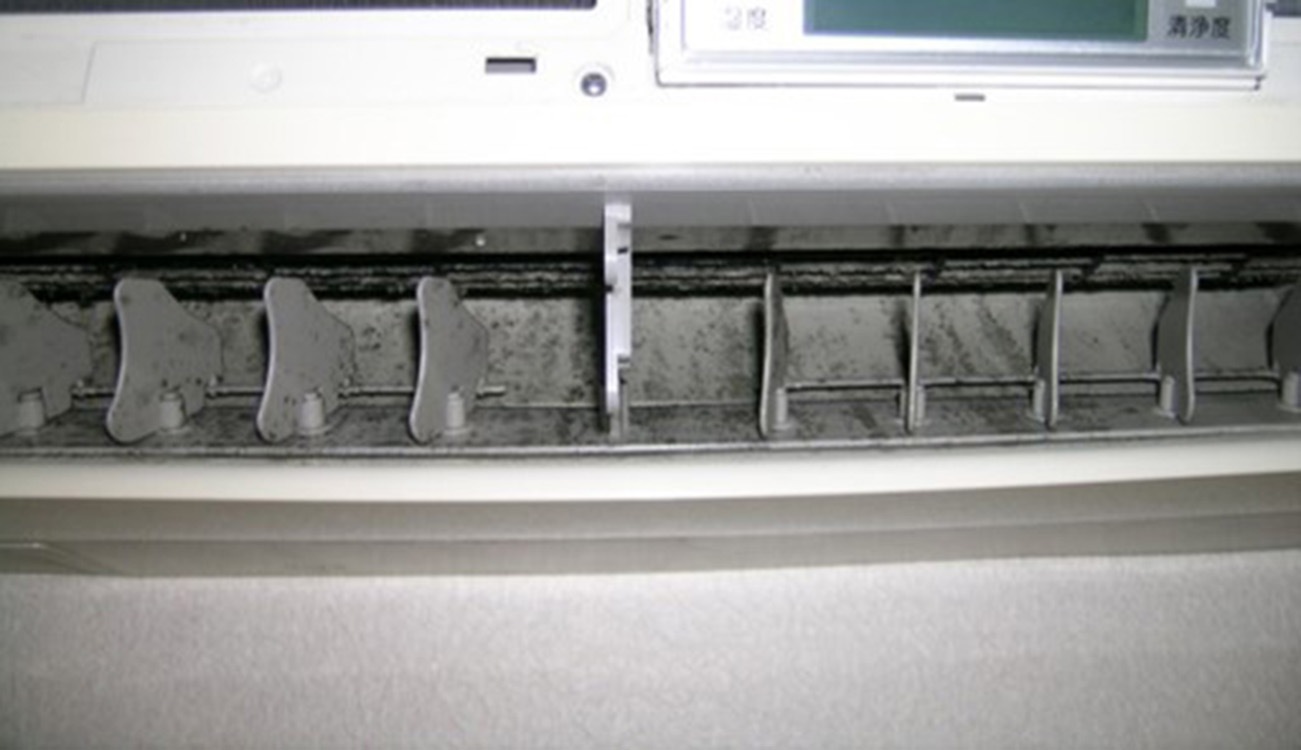 ���������Ѿý����ɥ��ӥ��ץ졼��������