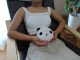�ۥåȡ���������ѥåɡ����˥ޥ롡�ѥ���ե�����