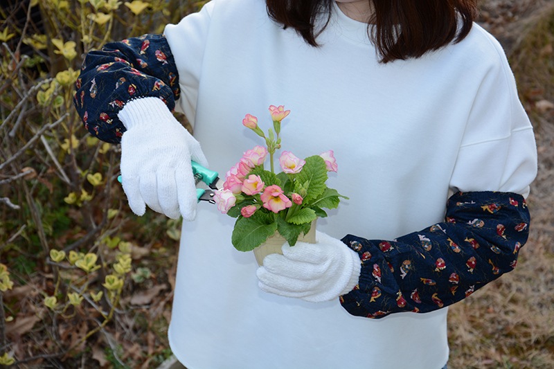������Ĵ���ӥ��С����ޤ���3����