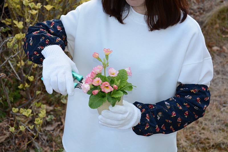 ������Ĵ���ӥ��С����ޤ���3����