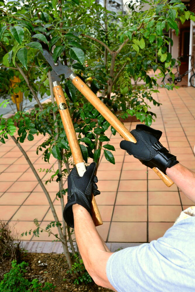 ����åԡ������ۡ���&�����ǥ󥰥�����