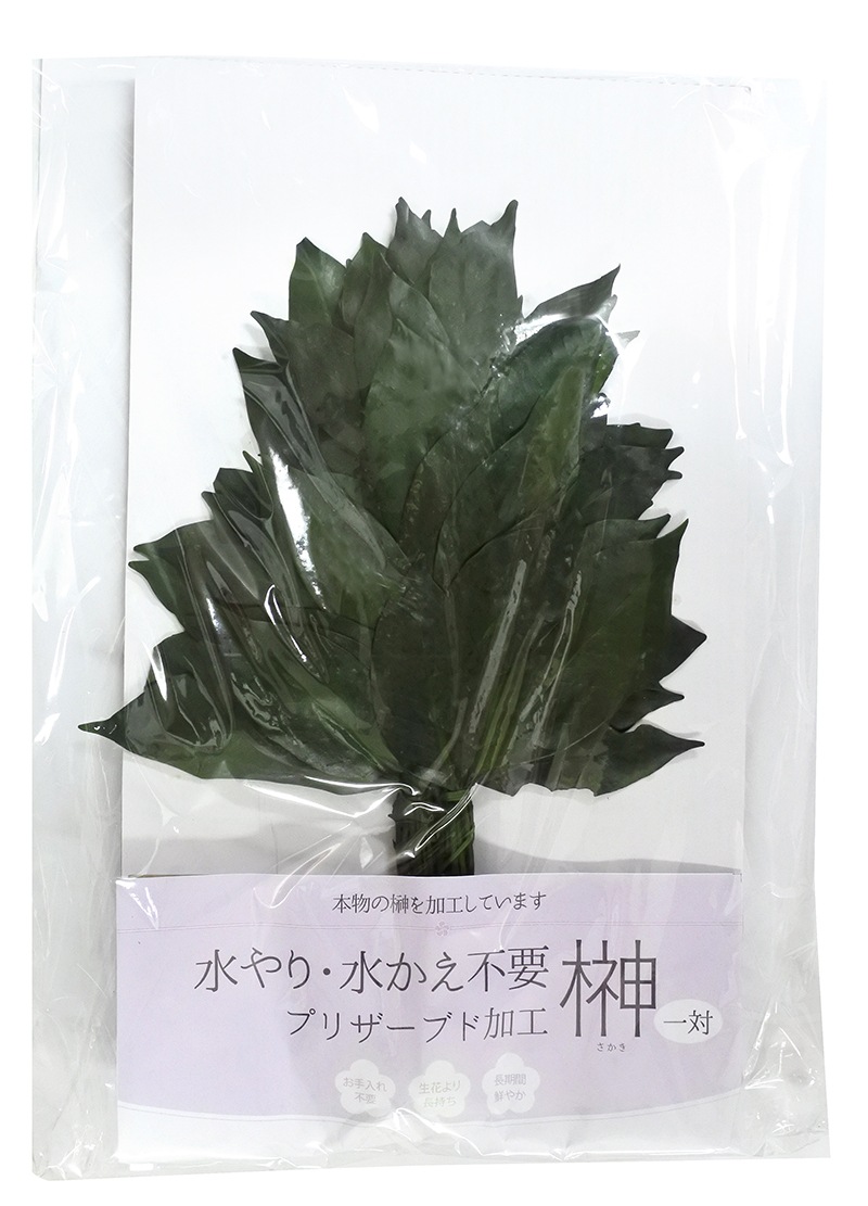 �����ѸϤ�ʤ��ץꥶ���֥ɺ硡����