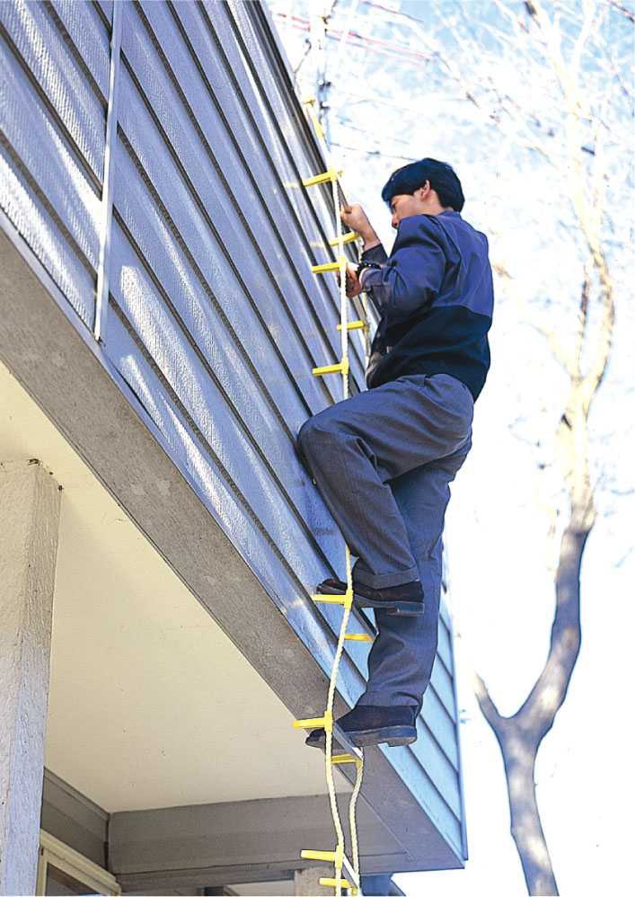 �����ѡ��������Ϥ���������