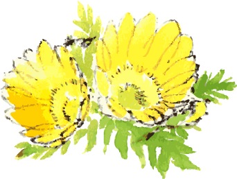 ��ŷʡ����������֥쥹