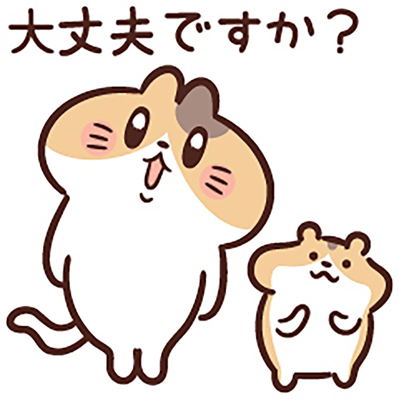 �ҤȤޤȤᡪ�̱��ߥ˥Хå�