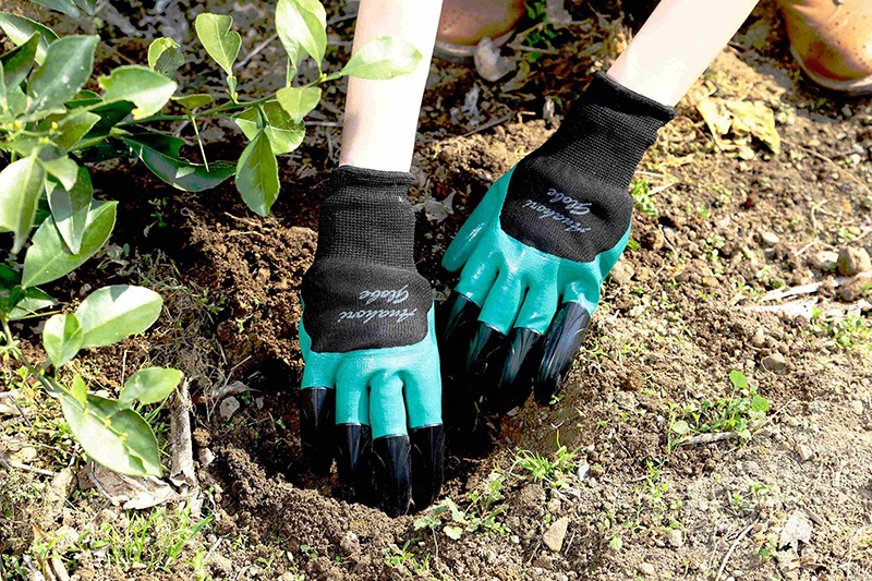 �귡�ꥰ�����֡ʰ��С�