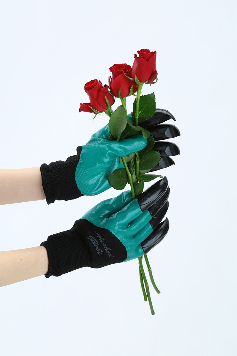 �귡�ꥰ�����֡ʰ��С�