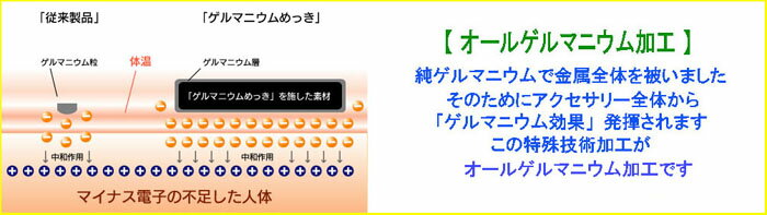 �����륲��ޥ˥��� ��ʿ�ͥå��쥹