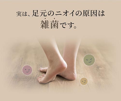 ���Ѿý����ݥѥ��������ӣϣ�