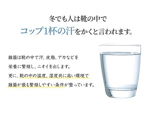 ���Ѿý����ݥѥ��������ӣϣ�