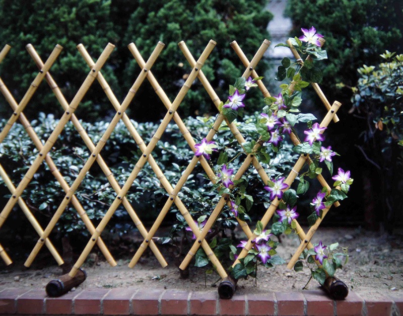 �ݤ������۷ģ�