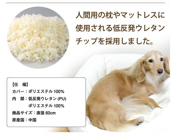 �ޥ���ޥ����å���󡡥ۥ磻��