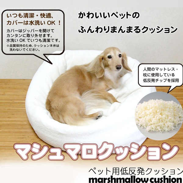 �ޥ���ޥ����å���󡡥ۥ磻��