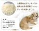 �ޥ���ޥ����å���󡡥ۥ磻��