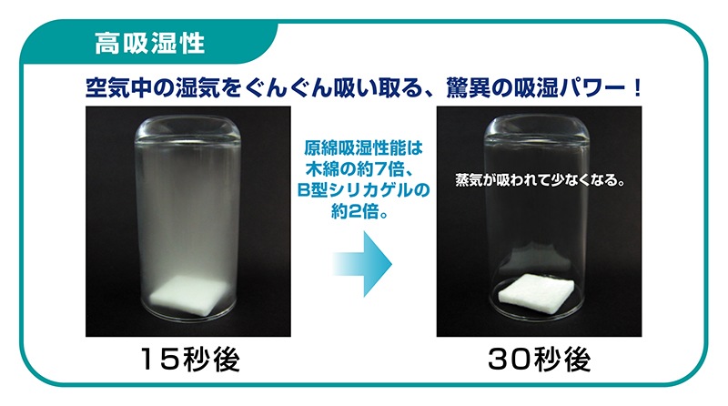 �����եȥѥå��ɥ饤���쥮��顼������ 12����