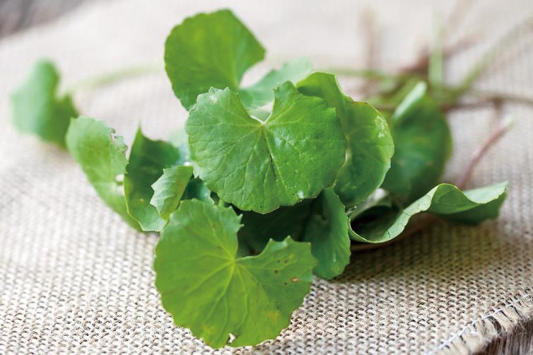 �������Ѳ����� ��������ʤ���������褯��