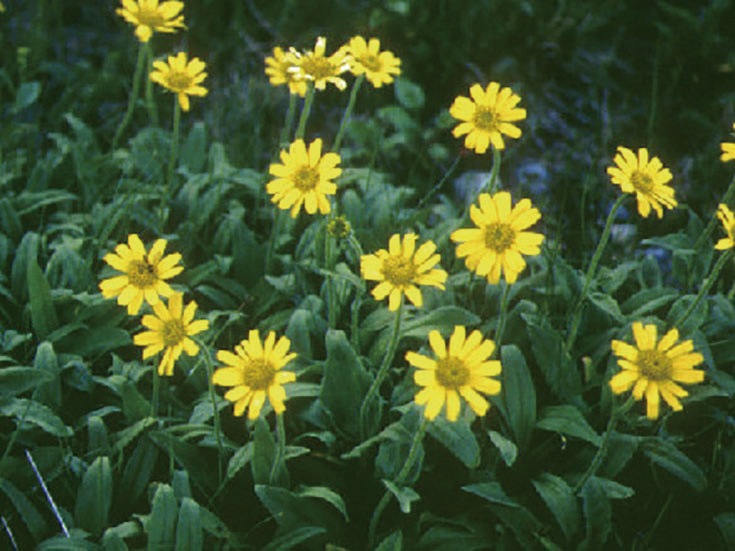 �������Ѳ����� ��������ʤ���������褯��