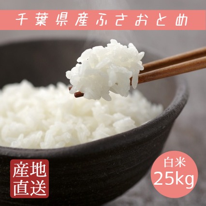 新米 米 令和2年産 ふさおとめ 白米 25kg 5kg×5袋 本州四国 送料無料 