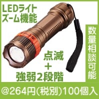 ズームフラッシュライト|200円〜299円|予算で選ぶ