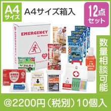 1ＤＡＹ女性の災害対策12点セット SW30|2000円〜2999円|予算で選ぶ