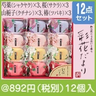 �̲֤���� SAK-15