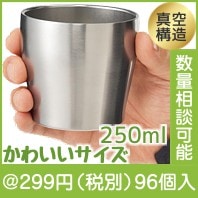 �������ƥ�쥹����֥顼250����