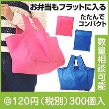 ����ӥ˥����Хå�