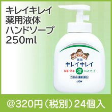 キレイキレイ　薬用液体ハンドソープ250ml|300円〜399円|予算で選ぶ