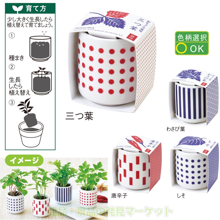 おちょこで薬味栽培キット 粗品と景品の発見マーケット