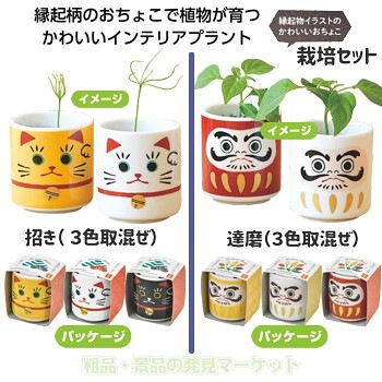 おこめ商品です♪ 0000000175112_I4EN4rk.jpg