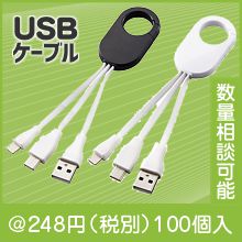 ����ӥʥޥ��USB�����֥�