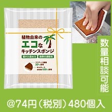 植物由来のエコなキッチンスポンジ