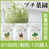 tuchinashi�ץ��ڱ�