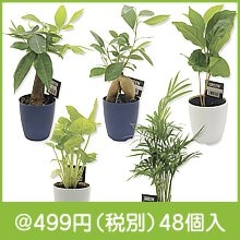 �ߥ˴��ե��쥯����󤪤ޤ�����������1��