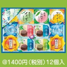 彩とりどり涼菓ギフトセット