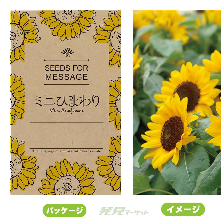ミニひまわりの種子 | 粗品と景品の発見マーケット