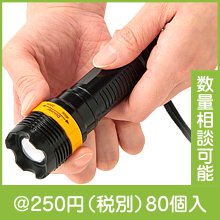 ネックストラップ付きズームライト|200円〜299円|予算で選ぶ