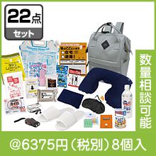 ǽ�ФΤ���� �����ƥ��ɺ�22�����å� FNT-B