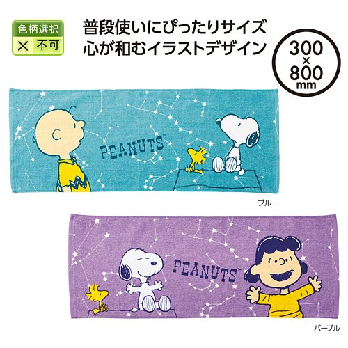 ���̡��ԡ� �ۥ����饿����