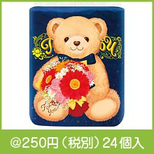 �ƥǥ��٥��ȥ���åȥ�����4������(���֥�)